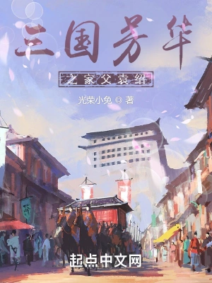 袁熙赵云光荣小兔
